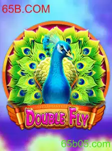 Descubra o Mundo Empolgante de DoubleFly